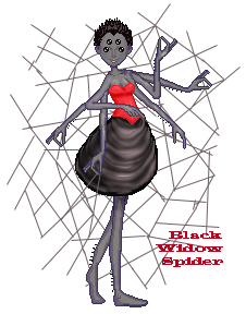 spider